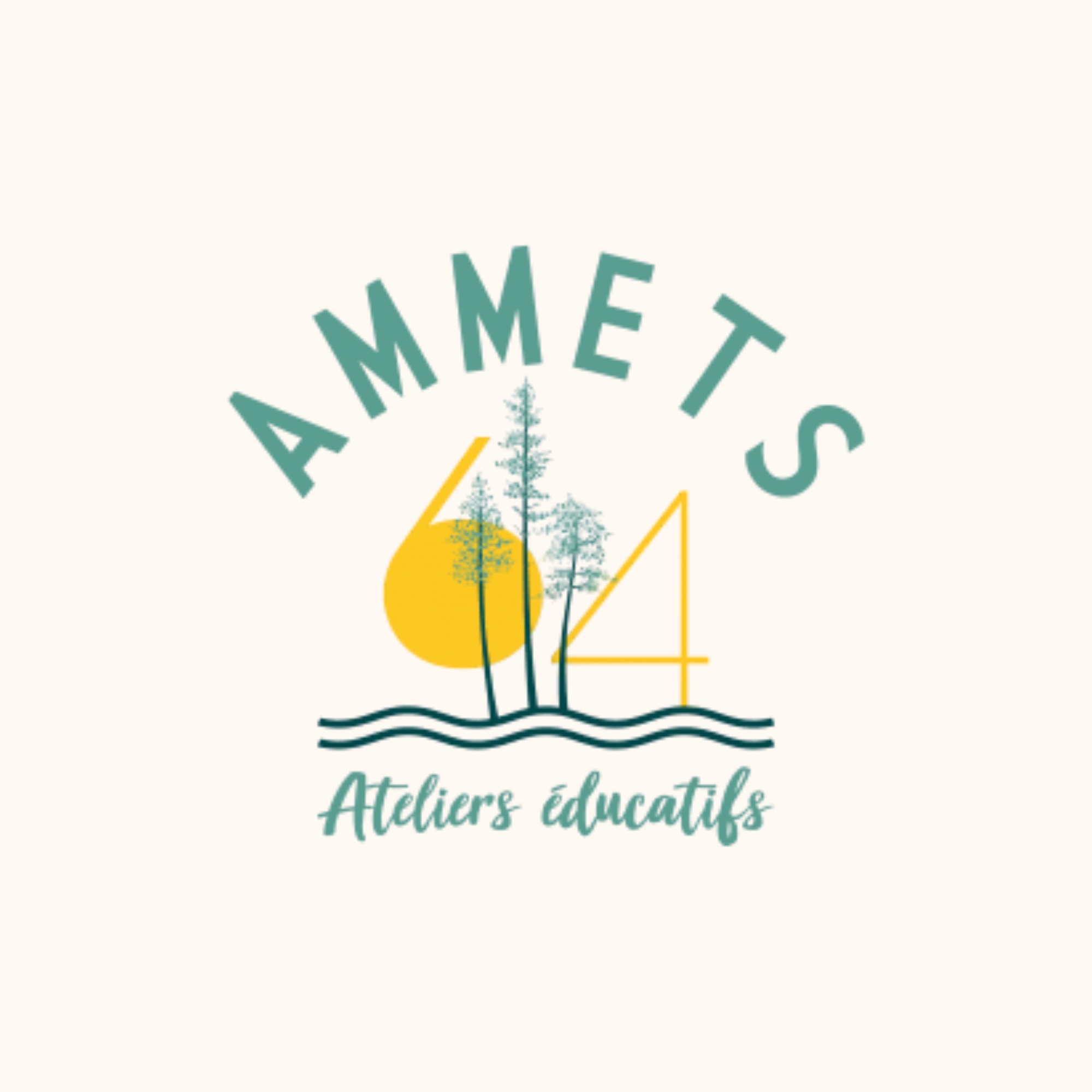 AMMETS